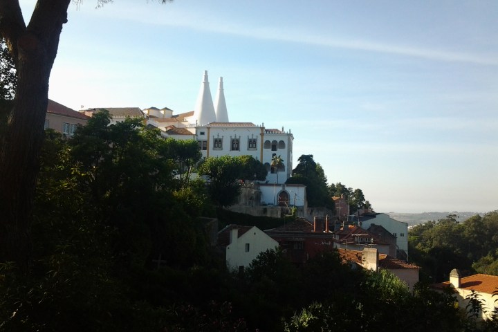 a view of a city next to a tree