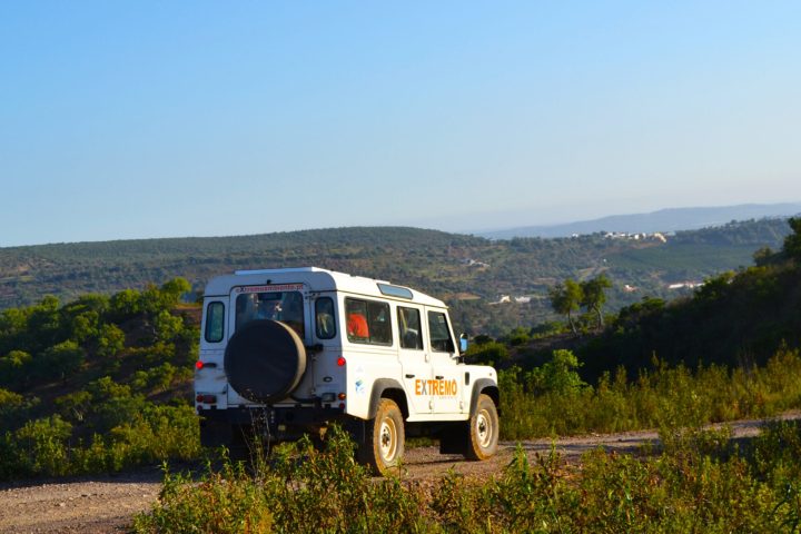 a truck with a mountain in the background