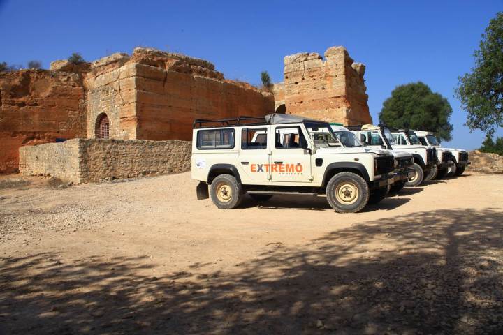 a group of trucks parked in front of a brick building