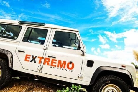 a truck is parked in the grass