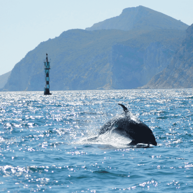 a large body of water with a mountain in the background