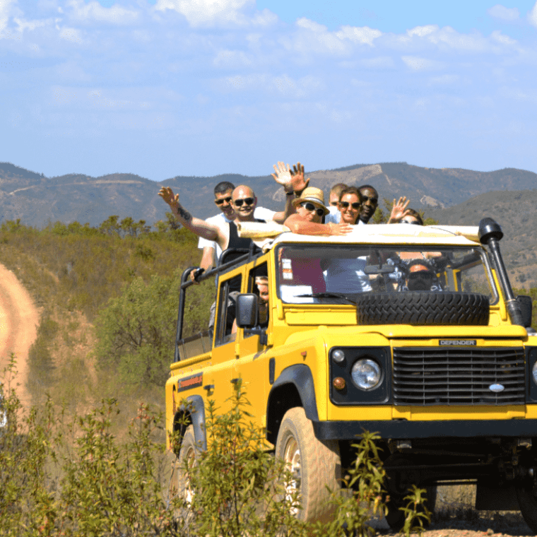 a truck with a mountain in the background