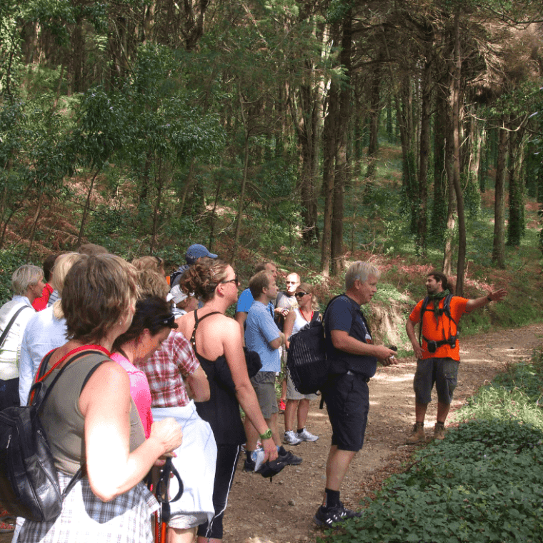 a group of people in a forest