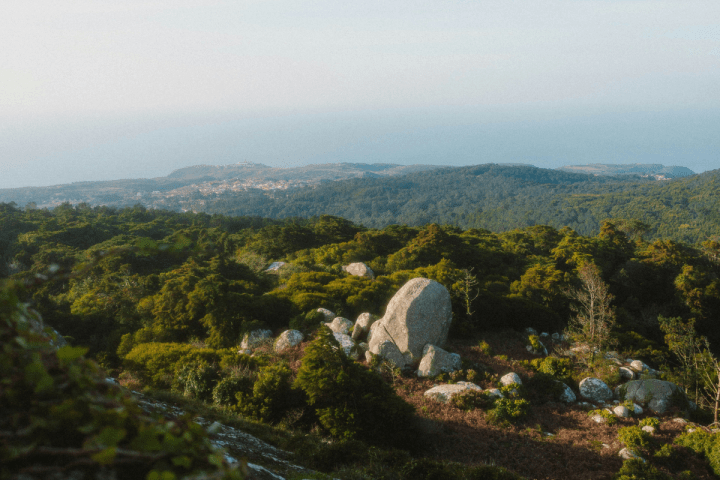 a view of a mountain