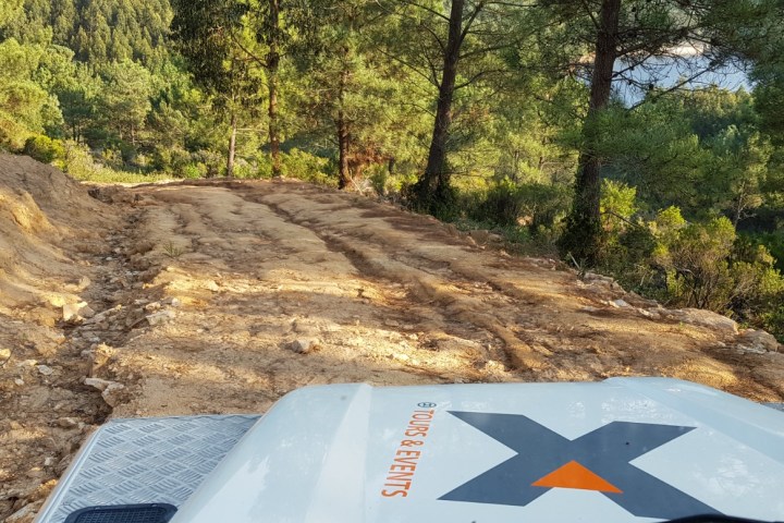 Off-road vehicle on a rugged dirt path surrounded by dense forest.