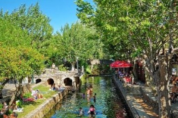 People swimming in a tree-lined canal with stone bridges and walkways.