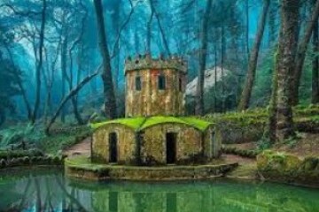 Moss-covered stone tower and building by a pond in a misty forest.
