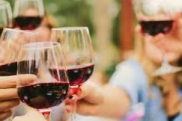 Group of people clinking glasses of red wine outdoors.