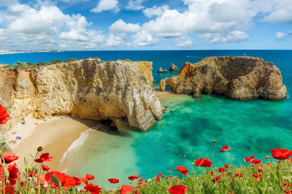 Scenic beach view with rocky cliffs, turquoise water, and red poppies in the foreground.