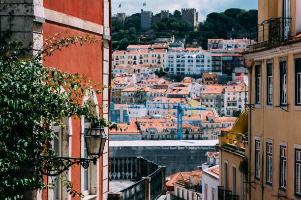 Narrow street in Lisbon with colorful buildings, leafy branch, and castle in the background.